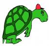 lazy_turtle.jpg