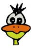 quack_duck.jpg